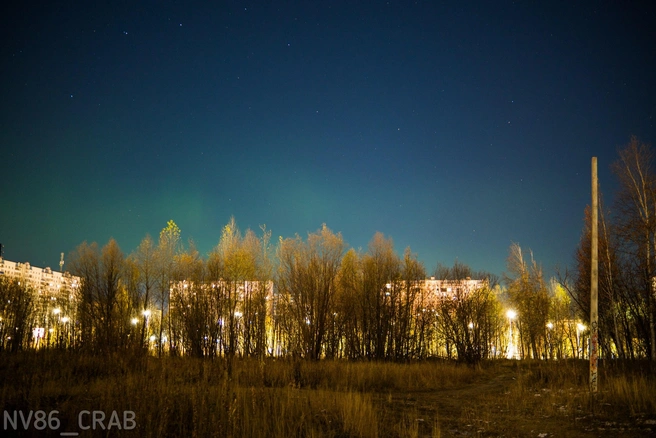 Нижневартовск  | Источник: «Типичный краб Нижневартовск» / T.me