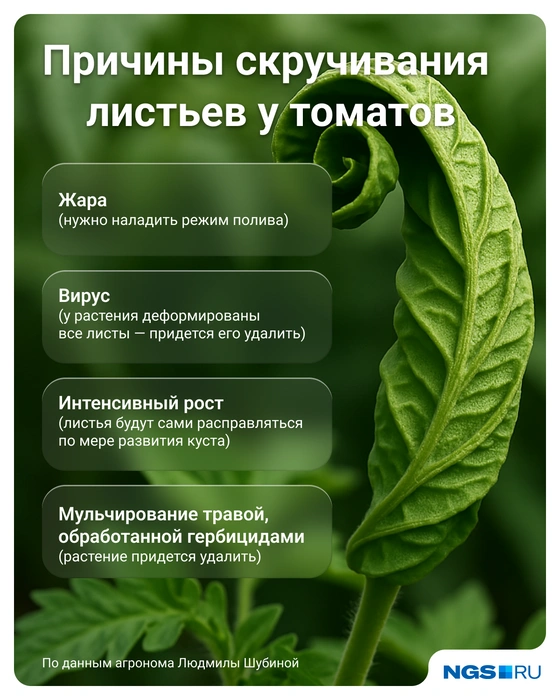 Сохраните полезную картинку | Источник: Юрий Орлов / Городские медиа