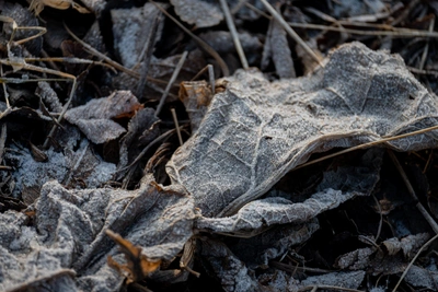 В Самарской области температура упадет до нуля