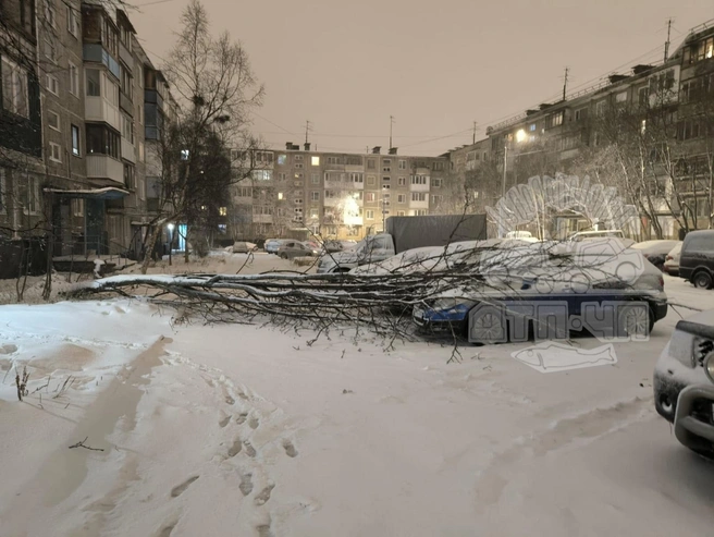 Капитана Копытова, 22 | Источник: Мурманск ДТП ЧП / Vk.com