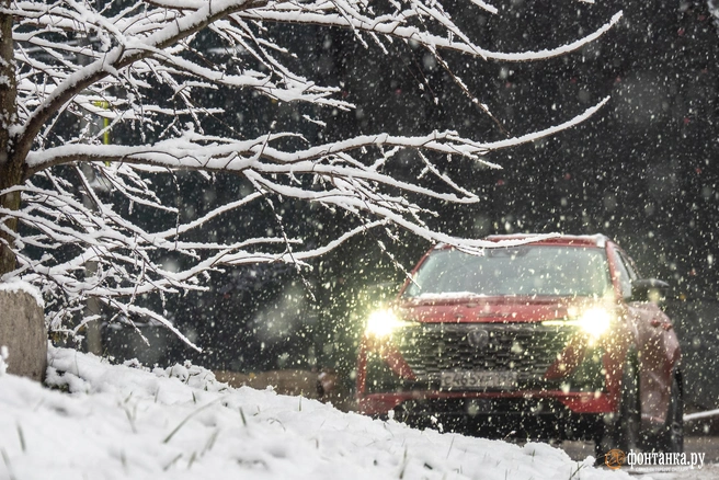 В некоторых регионах стоимость полисов значительно вырастет | Источник: Михаил Огнев / FONTANKA.RU