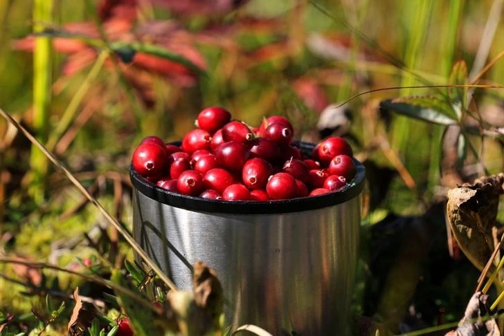 Источник: Shutterstock/Fotodom.ru