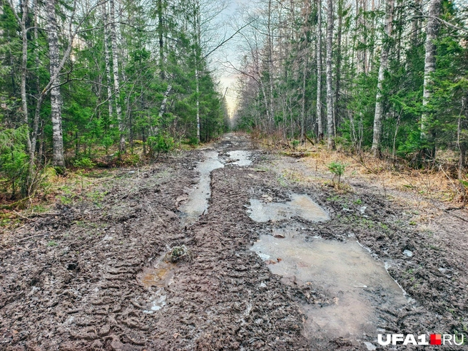 При свете дня хоть понятно, куда наступать | Источник: Булат Салихов / UFA1.RU