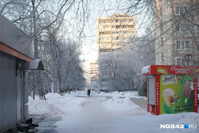 Источник: Евгений Горбачев / NGS42.RU