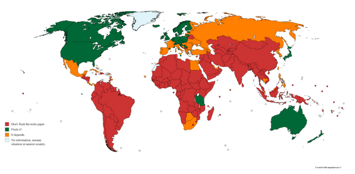 Карта: в каких странах можно смывать туалетную бумагу, а в каких нельзя