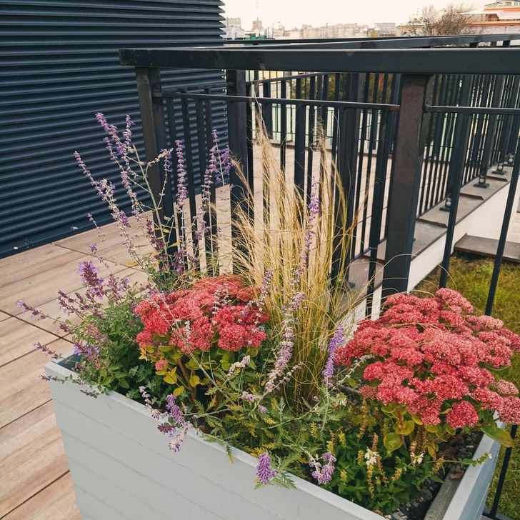 Готовые решения для озеленения балконов и террас (фото 1)