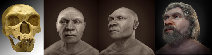 Знакомьтесь, Старик: восстановлено лицо 60-летнего неандертальца из французской пещеры