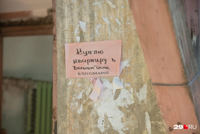 Источник: Иван Митюшёв / 29.RU