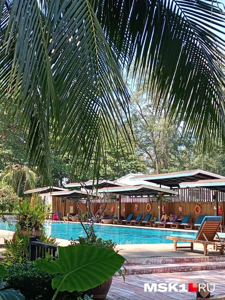 Источник: Марина С. / MSK1.RU