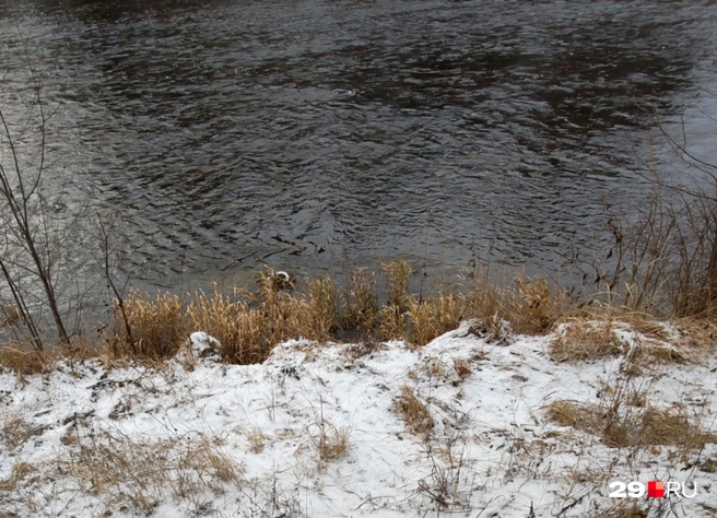 Воду думают перебросить в степные регионы России | Источник: Елена Ионайтис / 29.RU