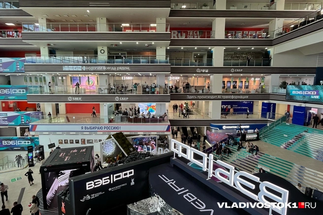 Источник: Елена Буйвол / VLADIVOSTOK1.RU