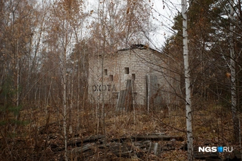 Так зона со сценой выглядит сейчас  | Источник: Андрей Бортко / NGS.RU