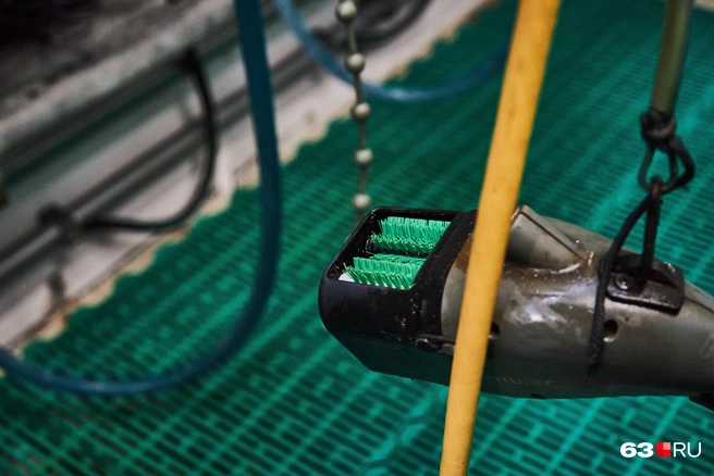 С такой машинкой очистить вымя можно очень быстро | Источник: Роман Данилкин / 63.RU