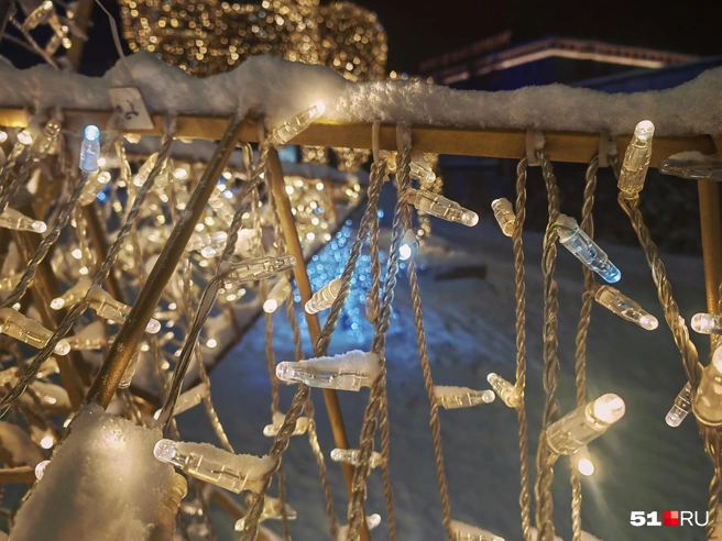 Источник: Юлия Кузнецова / 51.RU