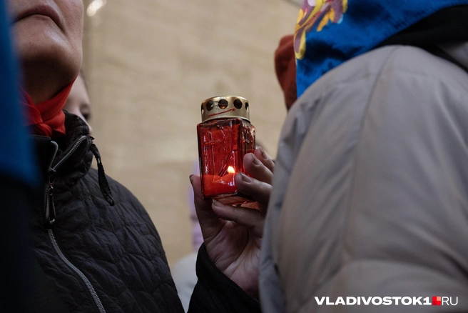 Источник: Елена Буйвол / VLADIVOSTOK1.RU