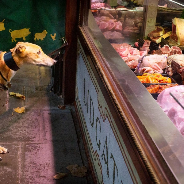 Источник: Sue Foll / World Food Photography Awards