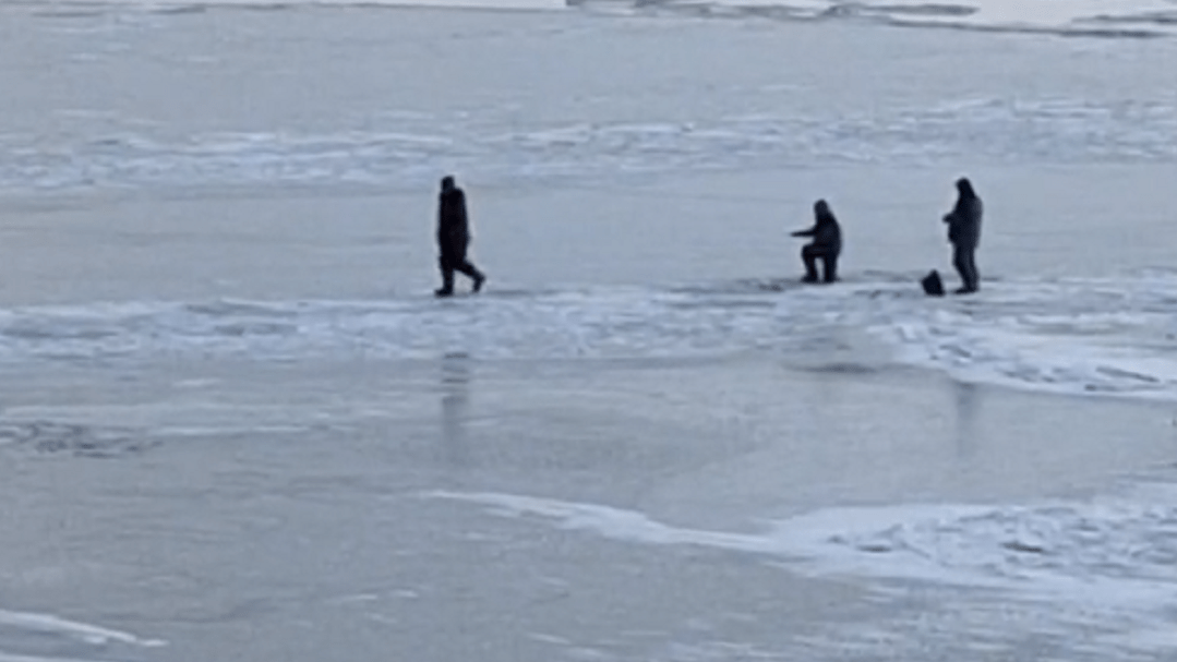 В Волгограде сняли на видео рыбаков-подледников, рискующих уплыть вниз по Волге