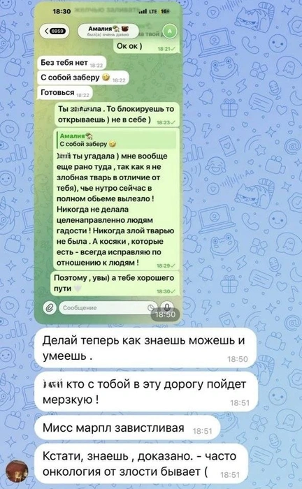 Так Оксана отвечала Амалии в переписке | Источник: Читатель 161.RU