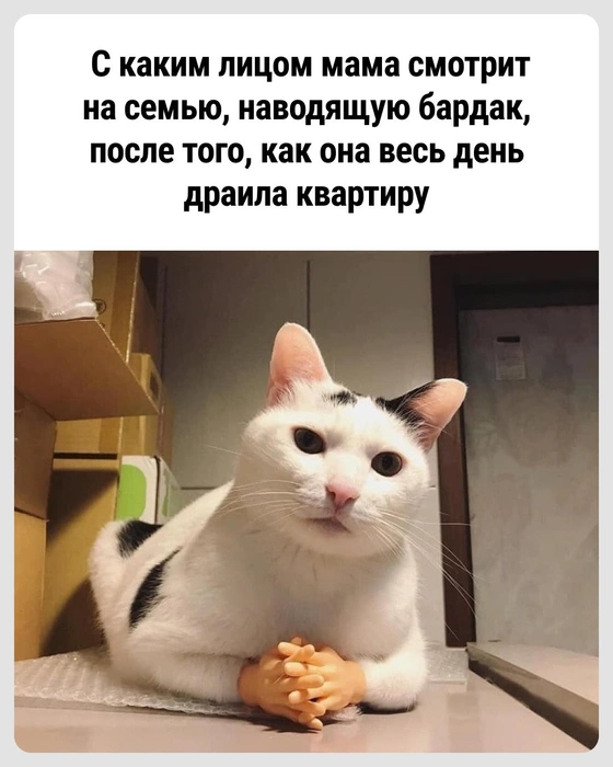 Грядет буря | Источник: Городские медиа