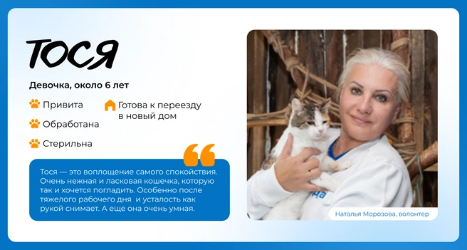 Источник: Василиса Молахова, Евгений Шаров