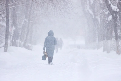 Снегопад и метель ожидаются в Мурманской области на выходных