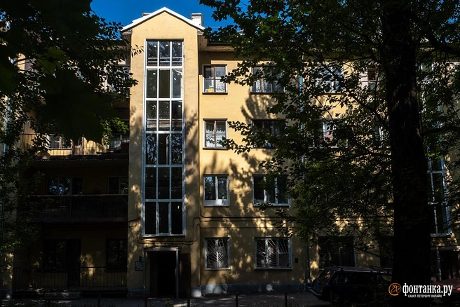 Источник: Огнев Михаил / «Фонтанка.ру»