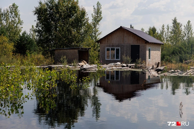 В воду могли попасть и канализационные стоки, и трупы животных. При этом нельзя назвать это экологической катастрофой, как часто говорят простые обыватели | Источник: Ирина Шарова / 72.RU