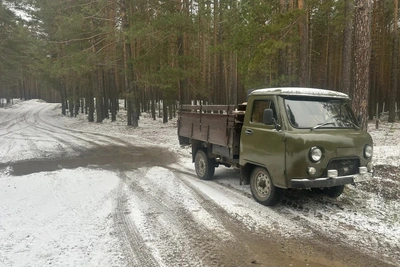 В Тимирязевском лесничестве пресекли незаконные рубки