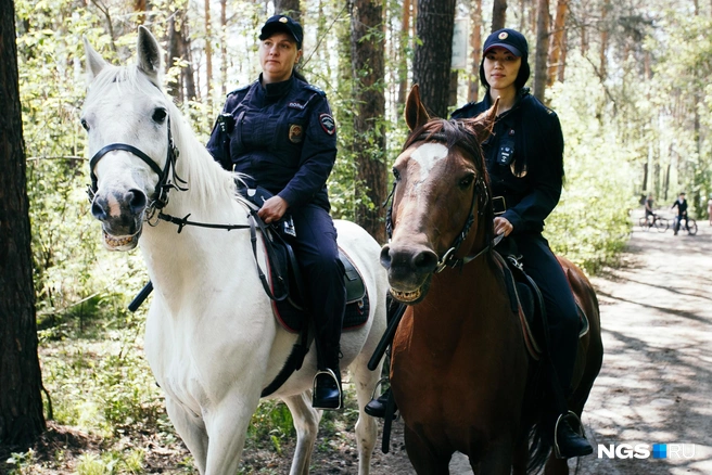 Большая часть конных полицейских&nbsp;— или спортсмены, как Анна, или выросли в деревне и могли представить себе работу, не связанную с животными. Но бывают и исключения. Например, коллега Анны Поповой Алина (на фото справа) перешла в кавалерию из кинологов, когда ее собака заболела | Источник: Андрей Бортко / NGS.RU