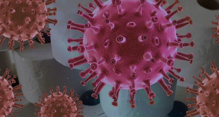 Нобелевский лауреат по медицине заявил, что коронавирус сделали в лаборатории