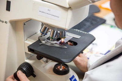 В Новосибирской области выявили пастереллёз у животных