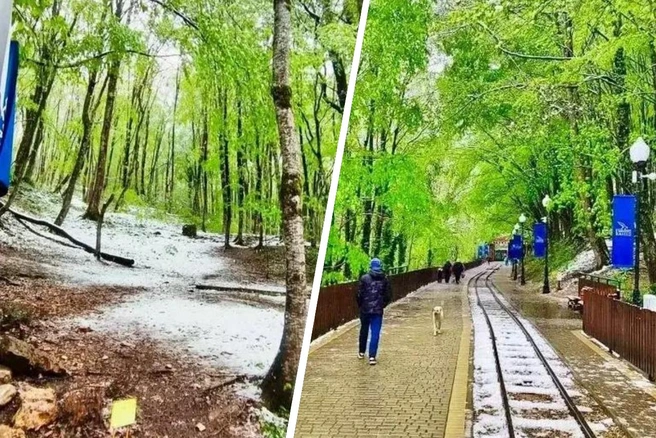 Снег пошел в Гуамском ущелье в мае | Источник: Гуамское ущелье / T.me