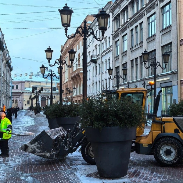 Источник: Комитет по благоустройству СПб