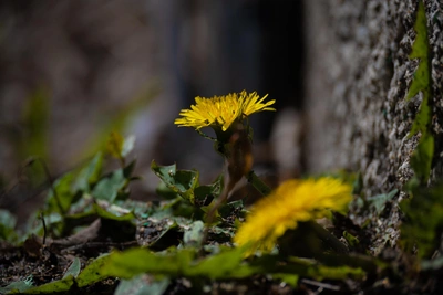 Прогноз на 3 марта в Приморье: ветрено, но без осадков
