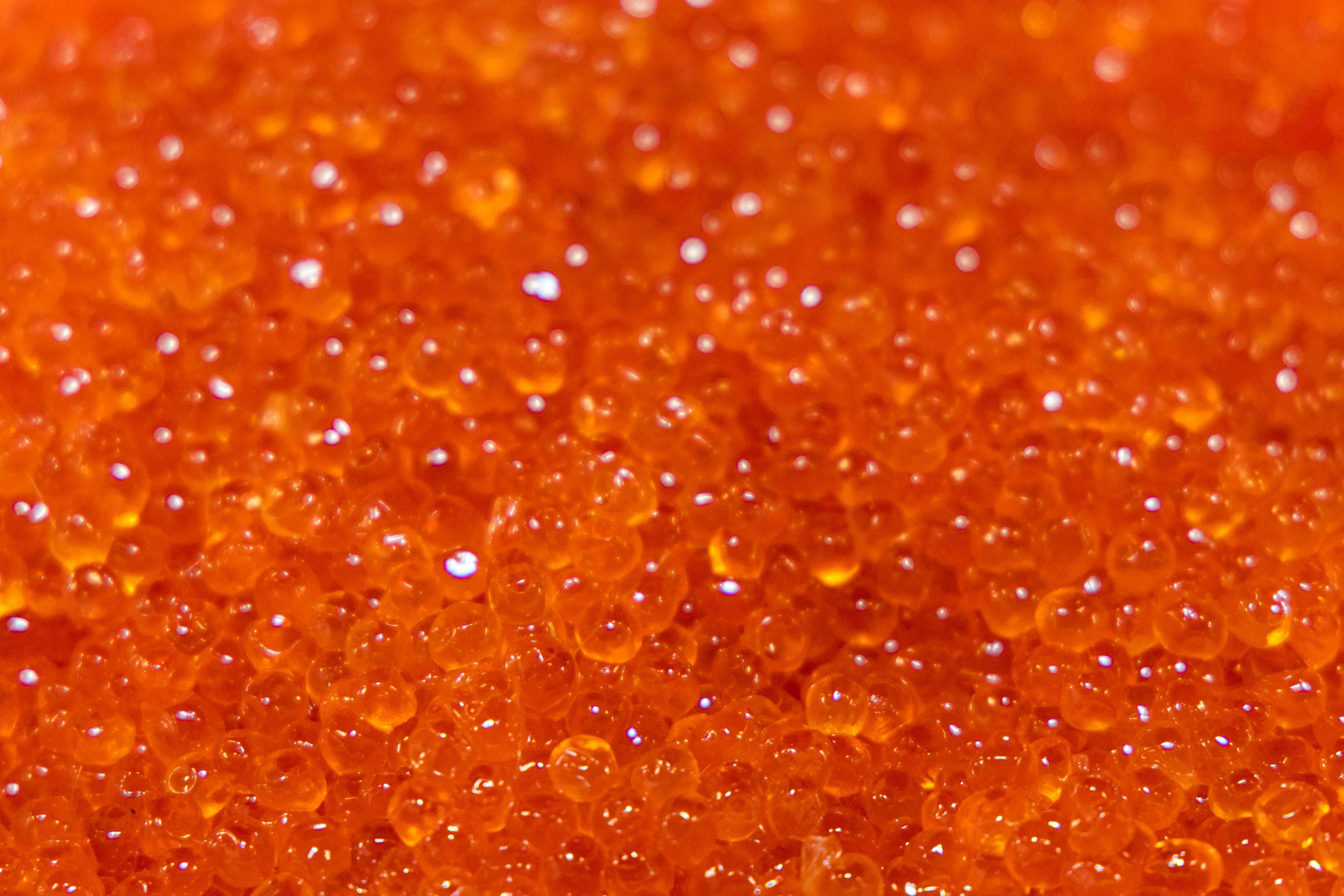 Цены снизились! Сколько стоит красная икра в Краснодаре перед Новым годом и как ее выбрать 