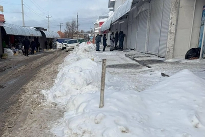Rostov's Temernik Market Not Fully Closed, Report Says