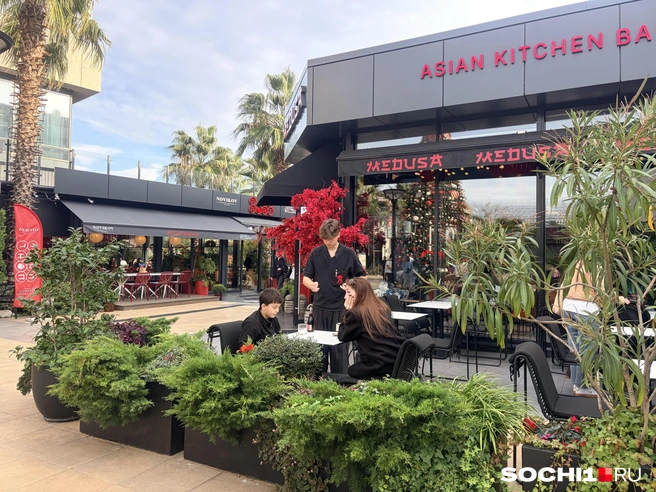 Тепло и вечнозеленые растения привлекают туристов | Источник: Анна Грицевич / SOCHI1.RU