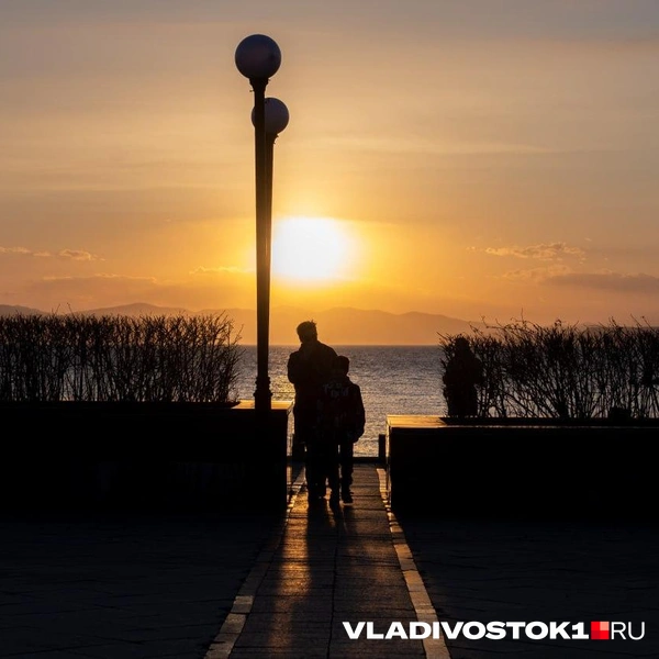 Источник: Алиса Князева / VLADIVOSTOK1.RU