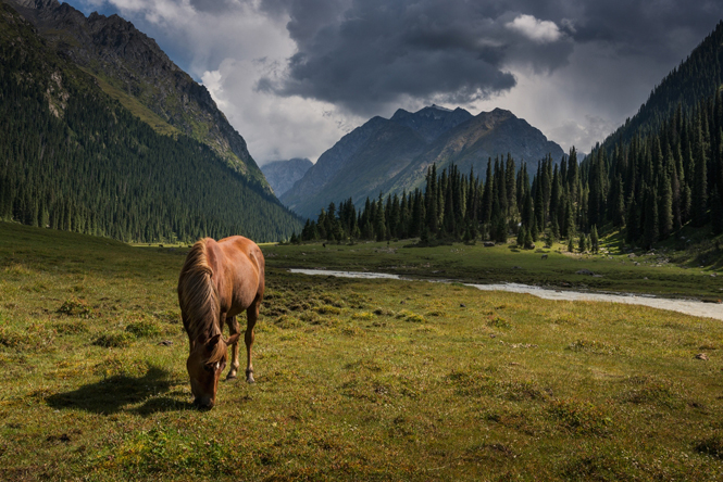 Особенности travel-фото: как рассказать миру о своем путешествии