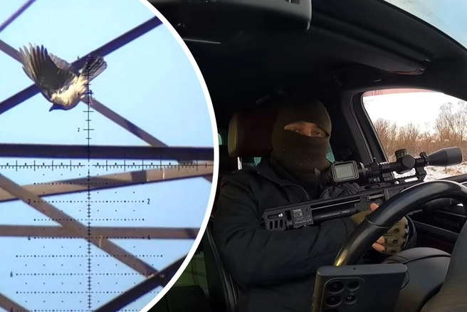 На ворон охотятся с пневматикой прямо в городах и лесах | Источник: YouTube-канал одного из самых популярных кроухантеров в России