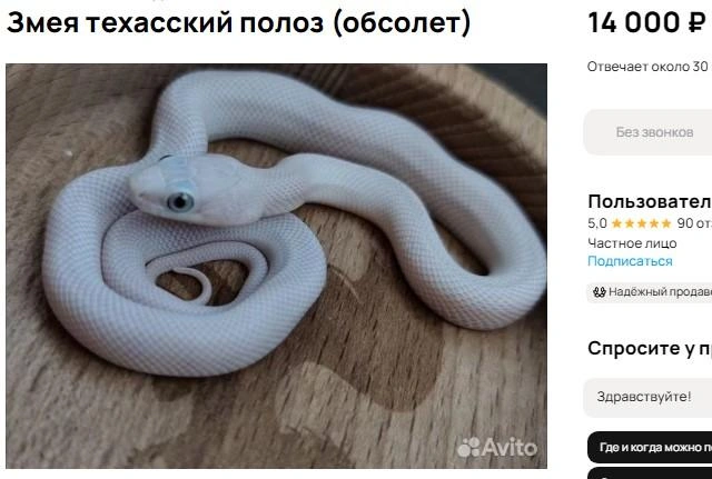 Источник: сайт объявлений