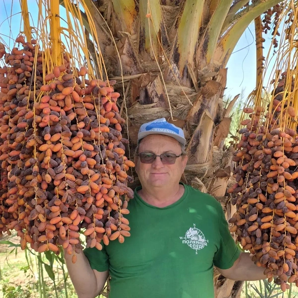 «Городок хоббитов» и подземный дом на 8 семей в пустыне: россиянин рассказал, зачем стоит лететь в Ливию