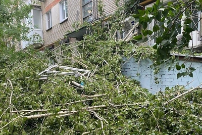 Челябинск: ураган повалил деревья, перекрыв подъезд пятиэтажки