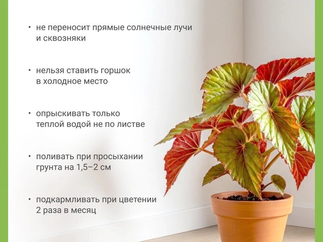 Источник: Юрий Орлов / Городские медиа