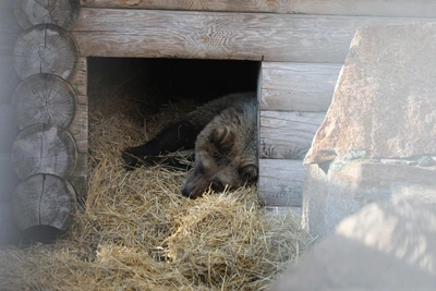 Евтропиев день: почему 16 марта не стоит хвастаться