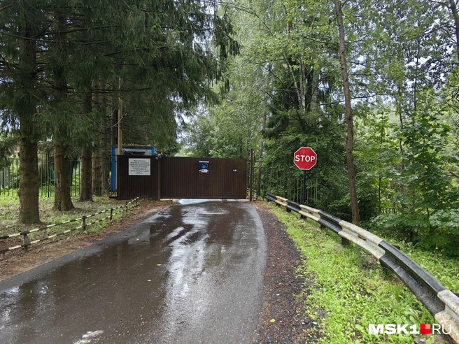 В Подмосковье приготовили несколько лагерей и санаториев для размещения жителей Курской области | Источник: Дмитрий Бондарев / MSK1.RU