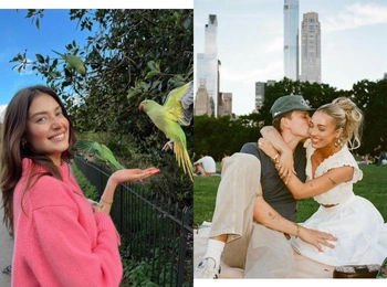 Теория «синей птички»: новый способ проверить отношения на прочность