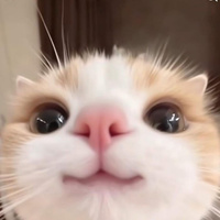 Аватарка fedorovadasads