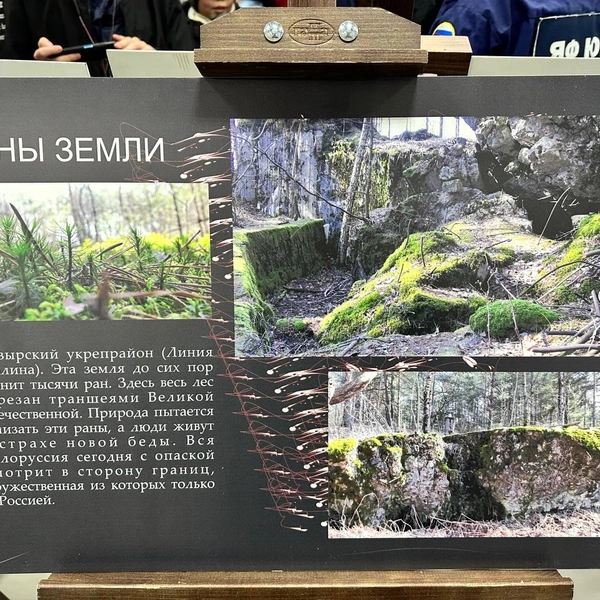 Раны земли | Источник: Илья Константинов / 14.RU