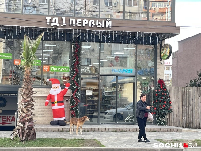 Продукты нужно покупать только в магазинах, но не в киосках | Источник: Анна Грицевич / SOCHI1.RU